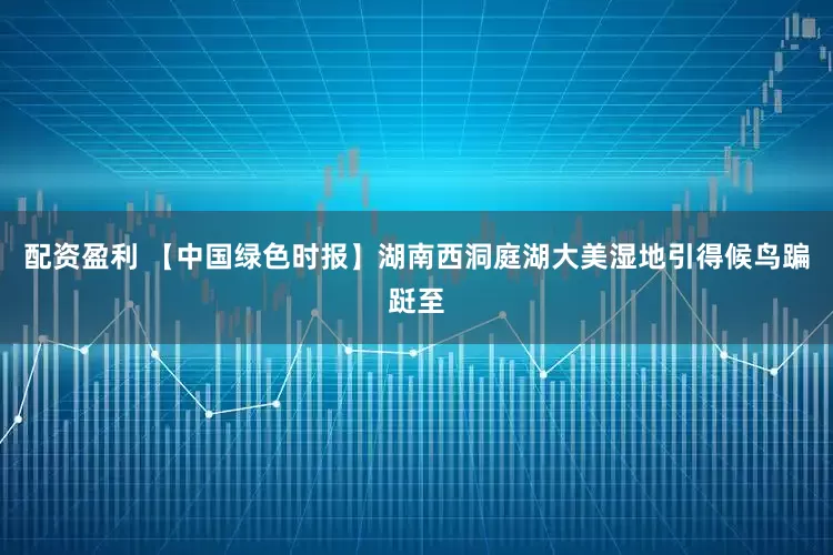 配资盈利 【中国绿色时报】湖南西洞庭湖大美湿地引得候鸟蹁跹至